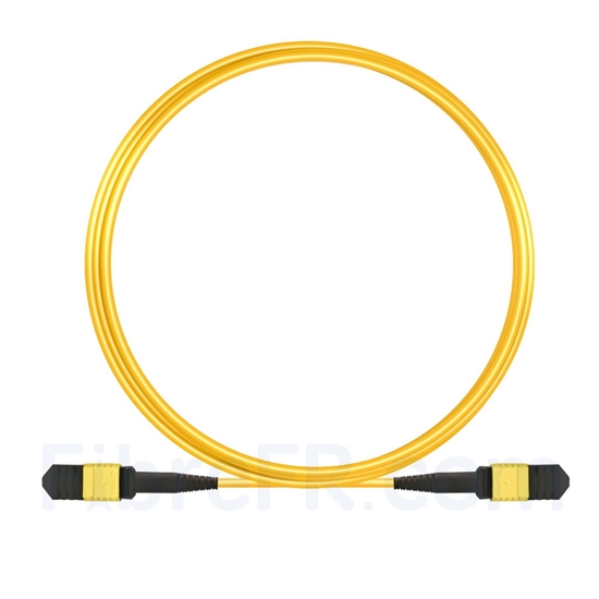 Image de 5m Senko MPO Femelle 12 Fibres OS2 9/125 Câble Trunk Monomode, Type B, Élite, LSZH, Jaune