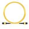 Image de 10m Senko MPO Femelle 12 Fibres OS2 9/125 Câble Trunk Monomode, Type B, Élite, LSZH, Jaune