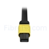 Image de 5m Senko MPO Femelle vers 4 LC UPC Duplex 8 Fibres OS2 9/125 Câble Breakout Monomode, Type B, Élite, LSZH, Jaune