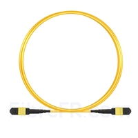 3m MTP Câble Trunk Femelle 12 Fibres OS2 9/125 Monomode, Type A, Élite, LSZH, Jaune