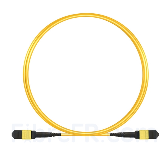 Image de 4m MTP Câble Trunk Femelle 12 Fibres OS2 9/125 Monomode, Type A, Élite, LSZH, Jaune