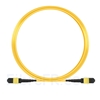 Image de 9m MTP Câble Trunk Mâle 12 Fibres OS2 9/125 Monomode, Type A, Élite, LSZH, Jaune