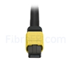 Image de 1m MTP Câble Trunk Femelle 12 Fibres OS2 9/125 Monomode, Type B, Élite, LSZH, Jaune