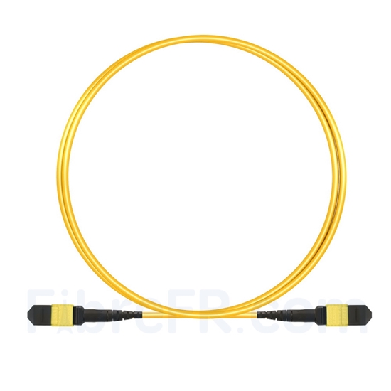 Image de 2m MTP Câble Trunk Femelle 12 Fibres OS2 9/125 Monomode, Type B, Élite, LSZH, Jaune