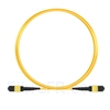 Image de 3m MTP Câble Trunk Femelle 12 Fibres OS2 9/125 Monomode, Type B, Élite, LSZH, Jaune