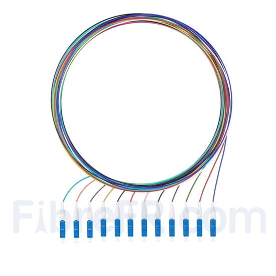 Image de 1m Pigtail à Fibre Optique à Code Couleur LC UPC 12 Fibres OS2 Monomode, Sans Gaine