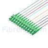 Image de 2m Pigtail à Fibre Optique à Code Couleur LC APC 12 Fibres OS2 Monomode, Sans Gaine