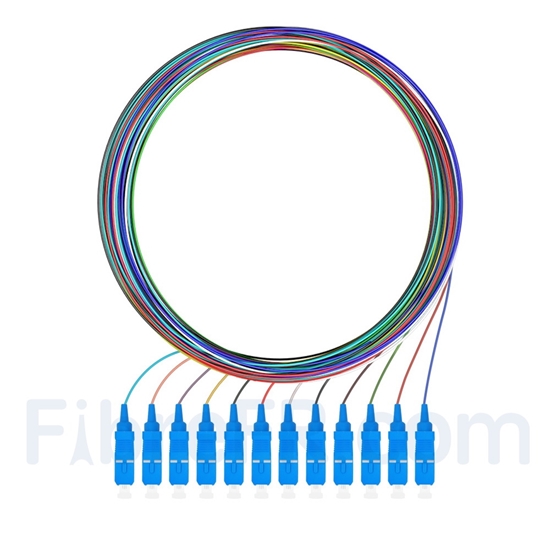 Image de 2m Pigtail à Fibre Optique à Code Couleur SC UPC 12 Fibres OS2 Monomode, Sans Gaine