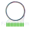 Image de 1m Pigtail à Fibre Optique à Code Couleur SC APC 12 Fibres OS2 Monomode, Sans Gaine