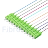 Image de 2m Pigtail à Fibre Optique à Code Couleur SC APC 12 Fibres OS2 Monomode, Sans Gaine