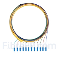 1,5m Pigtail à Fibre Optique LC UPC 12 Fibres OS2 Monomode Faisceau PVC (OFNR) 0,9mm