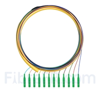 1,5m Pigtail à Fibre Optique LC APC 12 Fibres OS2 Monomode Faisceau PVC (OFNR) 0,9mm