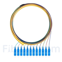 1,5m Pigtail à Fibre Optique SC UPC 12 Fibres OS2 Monomode Faisceau PVC (OFNR) 0,9mm
