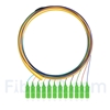 Image de 1,5m Pigtail à Fibre Optique SC APC 12 Fibres OS2 Monomode Faisceau PVC (OFNR) 0,9mm