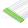Image de 1,5m Pigtail à Fibre Optique SC APC 12 Fibres OS2 Monomode Faisceau PVC (OFNR) 0,9mm