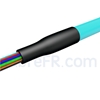 Image de 1,5m Pigtail à Fibre Optique LC UPC 12 Fibres OM4 Multimode Faisceau PVC (OFNR) 0,9mm
